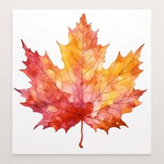 a watercolor painting of a maple leaf on a white background with orange and red colors