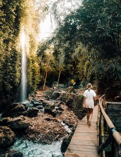 a woman walking across a wooden bridge next to a forest filled with lush green trees