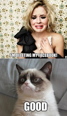 a woman with makeup on her face next to a grumpy cat and the caption, i'm deleting my facebook