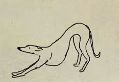 a drawing of a dog jumping in the air