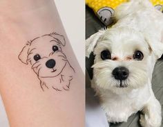 a small white dog sitting on top of a floor next to a tattoo