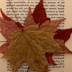 a book page with a leaf laying on top of it