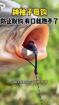 an image of a fish hooked up to a hook with the caption in chinese