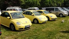 a group of yellow cars parked next to each other on top of a grass covered field