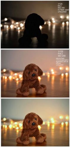 a stuffed dog sitting on top of a wooden floor next to a wall covered in lights