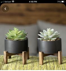 two potted plants are sitting on wooden stands