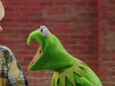 the muppet man is talking to kermie the frog