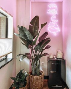 a potted plant sitting on top of a wooden table next to a neon sign