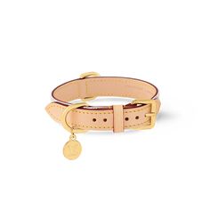 a tan leather dog collar with a gold plated charm on the front and side