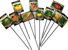 a bunch of different types of vegetables on sticks with labels attached to them, sitting in front of a white background