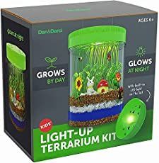 the light up terrarium kit is in its box