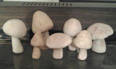 several mushrooms sitting on top of a counter