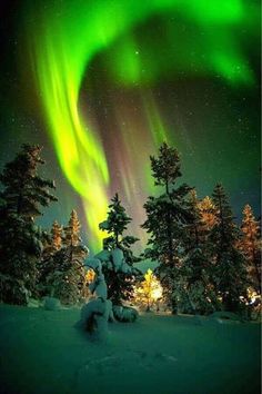 the aurora bore is shining brightly in the night sky over snow covered trees and evergreens