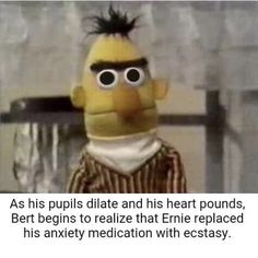 an image of a cartoon character that is in the middle of a text message with caption saying as his puplis date and his heart pounds, bert begins to