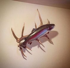 a fish that is on the wall with antlers attached to it's body