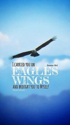 an eagle flying through the sky with a bible verse below it that reads, i carried you on eagles wings and brought you to myself