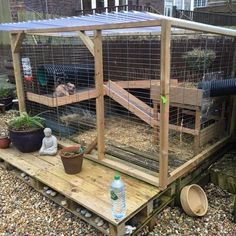 an outdoor chicken coop with two chickens in it and a water bottle on the ground