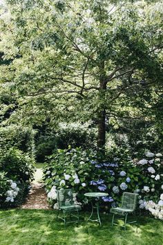 two green chairs sitting in the middle of a lush green yard with white and blue flowers