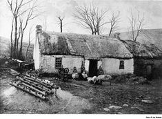 an old black and white photo of people near a thatched house with sheep in the foreground