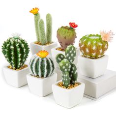 PRICES MAY VARY. 【Realistic Faux Cactus Plants】: Our artificial cactus are cute and unique , an eye-catching flower blooms on each mini cactus, the roots are covered in small rocks, it has natural look, lifelike color and soft touch, which is hardly to distinguish between it and other small artificial plants 【Premium Material】:These faux succulents are made of high quality PU material, the flower and the spines of the cactus plant are made of plastic, its spines are soft and it won't hurt your h Fake Cactus, Fake Potted Plants, Tabletop Shelf, Artificial Cactus, Faux Cactus, Cactus Plant Pots, Cactus Planta, Desk Plants, Artificial Plants Indoor