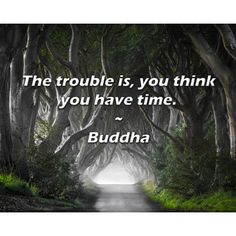 the trouble is, you think if you have time - buddha on road surrounded by trees