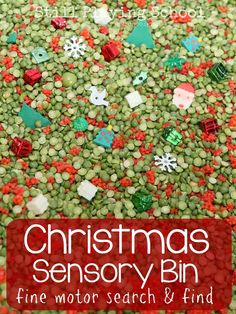 christmas sensory bin for fine motor search and find