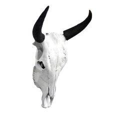 an animal's skull with long horns is shown against a white sky background,