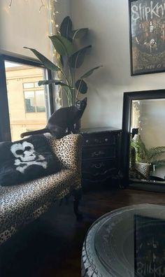 a black cat sitting on top of a leopard print chair in front of a mirror