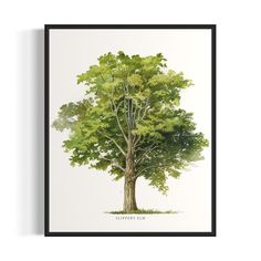 a watercolor painting of a tree with green leaves