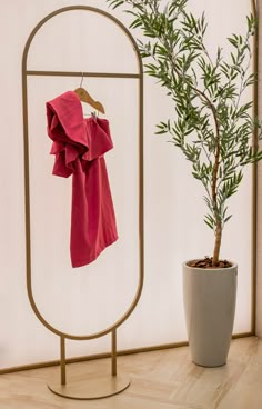 a potted plant sitting next to a mirror with a red shirt hanging on it