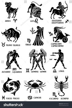 twelve zodiac signs and their meanings in black ink on white paper, with an image of the