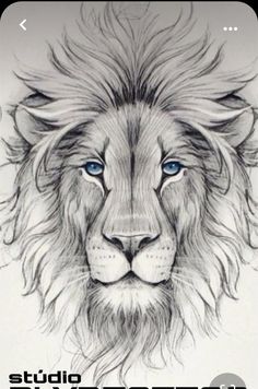 a drawing of a lion's face with the words studio play tattoo on it