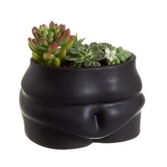 a black planter with succulents in it