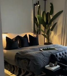 a large bed sitting next to a tall plant in a room with white walls and flooring