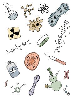 an image of some science related items