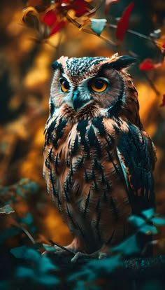 an owl sitting on top of a tree branch in front of some leaves and branches