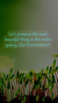 World Environment Day Slogans & Quotes, world environment day - linepoetry.com World Environment Day Activities, Environment Day Slogans, Environment Day Activities, World Environment Day Slogans, World Environment Day 2023, World Environment Day Posters