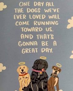 three dogs sitting on top of a hill with the words, one day all the dogs we've ever loved will come running toward us and that's gonna be a great day