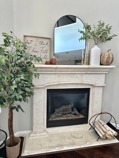 a living room with a fire place and potted plant