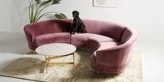 a dog sitting on top of a pink couch next to a white table and potted plant