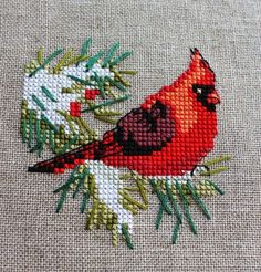 a red bird sitting on top of a tree branch next to green leaves and needles