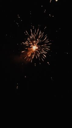 fireworks are lit up in the dark sky with no one around them to see it