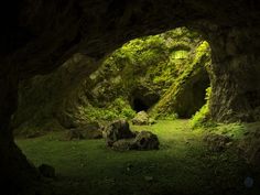 a cave with moss growing on the walls and grass in the floor, along with rock formations