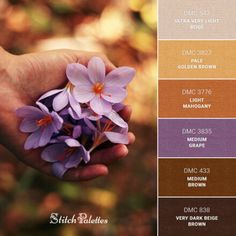 a person holding flowers in their hand with color swatches on the top and bottom