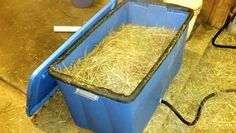 a blue trash can filled with hay in a barn