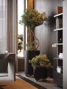 two tall black vases with plants in them on a table next to a book shelf