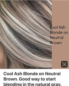 Platinový Blond, Grey Transition, Cool Ash Blonde, Ash Blonde Hair Colour, Long Shag, Chunky Highlights, Ashy Blonde, Ash Blonde Highlights, Blond Balayage