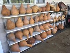 several shelves filled with different types of pears and pomegranates on them