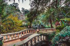 a stone bridge surrounded by trees and plants