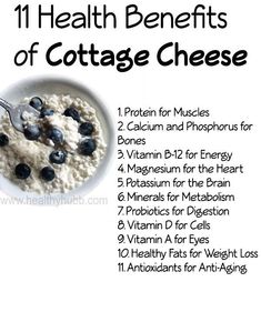 Benefits Of Cottage Cheese, Tomato Nutrition, Calendula Benefits, Lemon Benefits, Coconut Health Benefits, Stomach Ulcers, Benefits Of Coconut Oil, Food Additives, Cottage Cheese